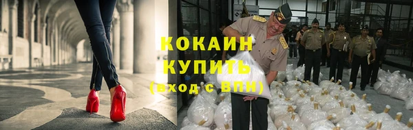 крисы Абдулино