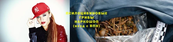 крисы Абдулино